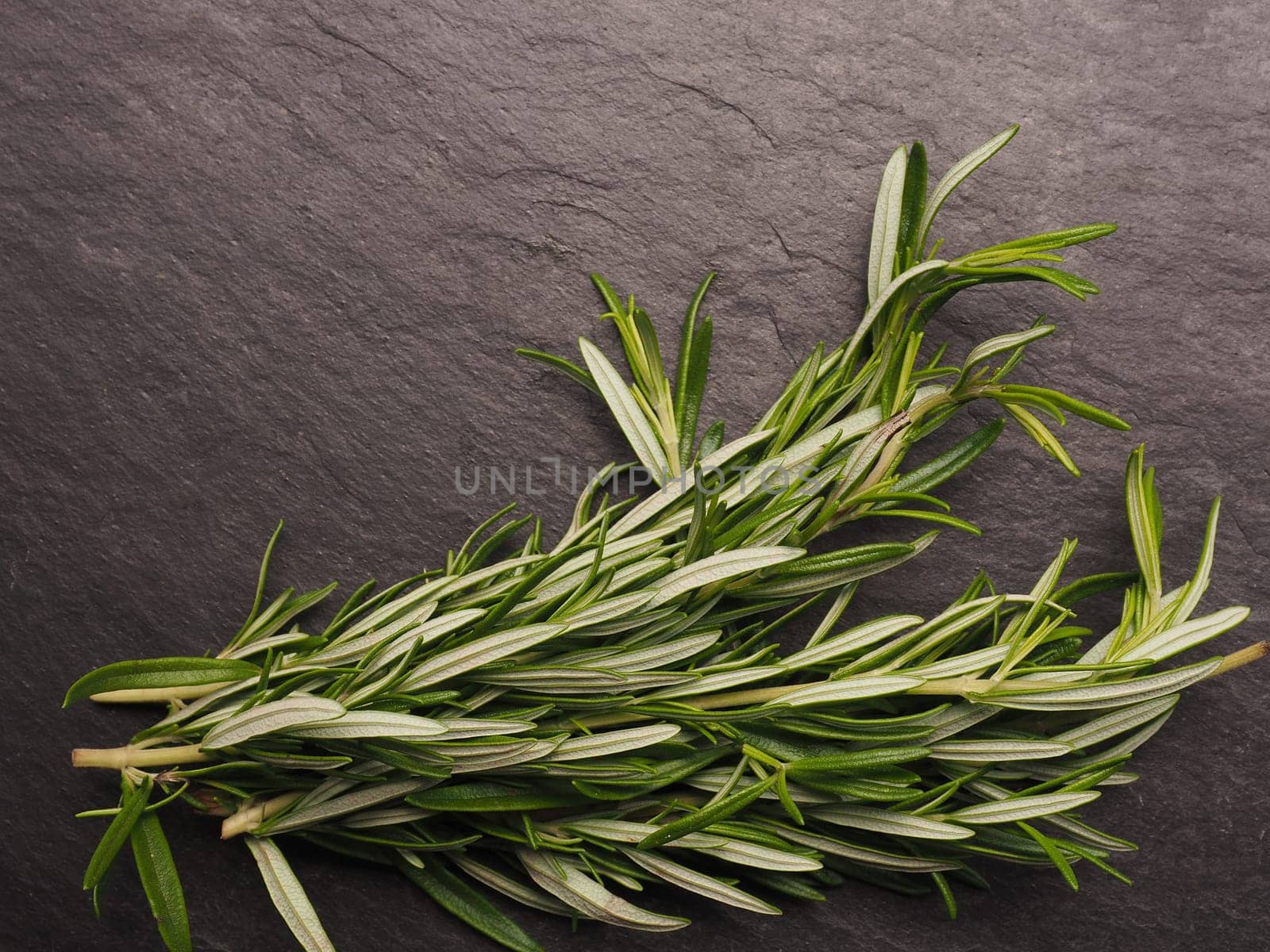 Fresh twigs of rosemary on a dark slate background with space for text