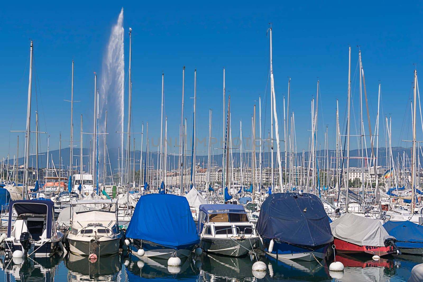 Who counts the boats