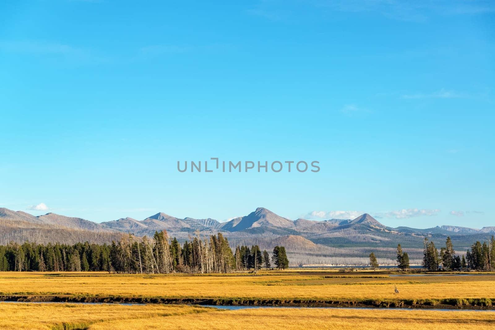 Valley and mountains view in Yellowstone National Park