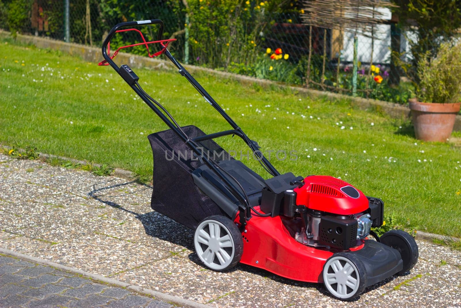 Lawns outside in the garden