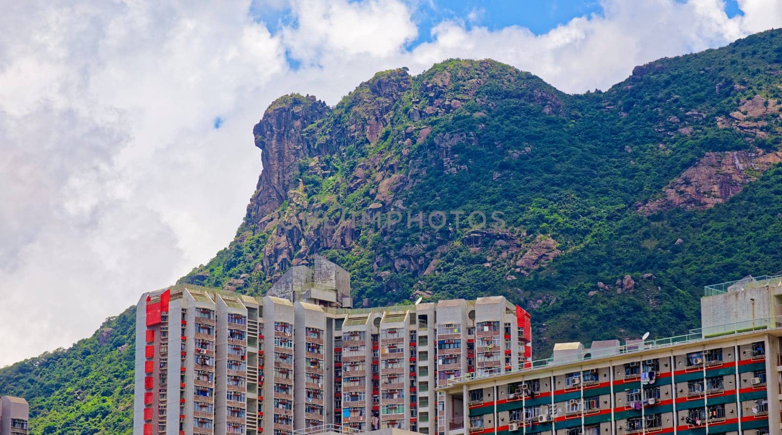 hong kong public estate with landmark lion rock at day