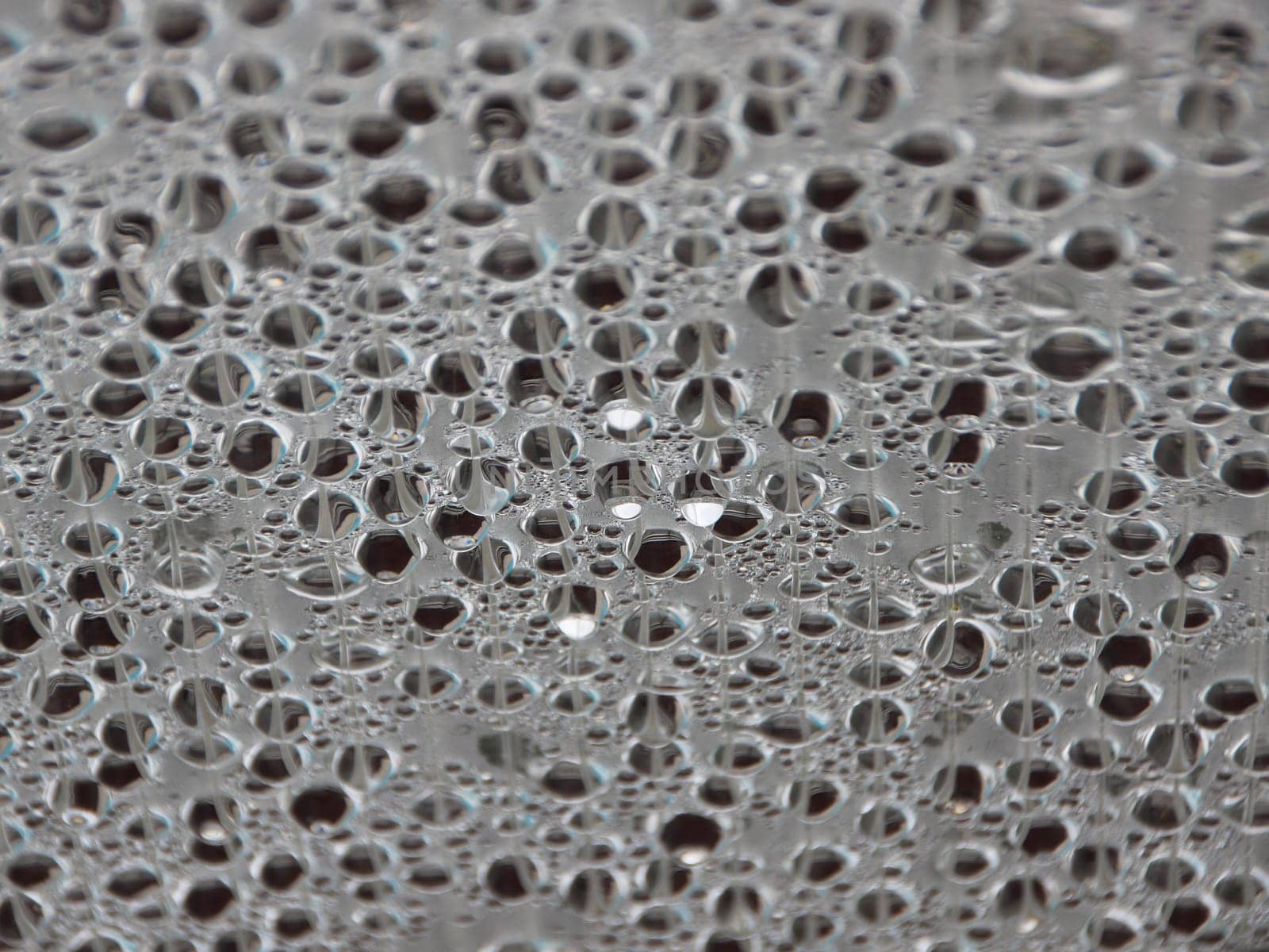 Water Damp Moisture Condensation under Plastic Roof in a Small Outdoor Swimming Pool. Cold outside - but Warm Inside.