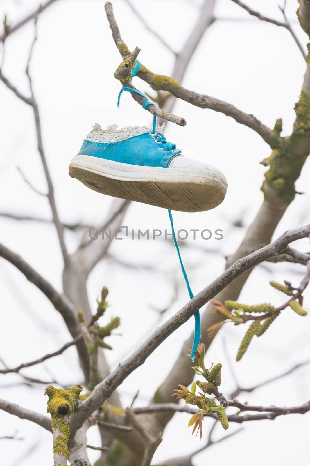 On a tree branch hanging shoe girl