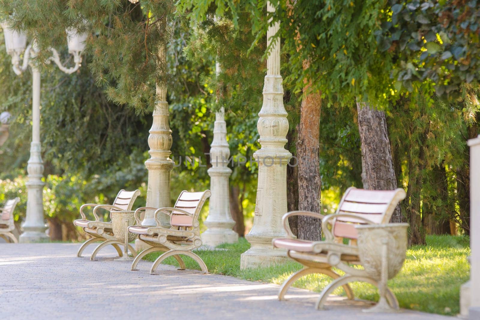 Alley with several benches in the city park "Baku"" in Volgograd"