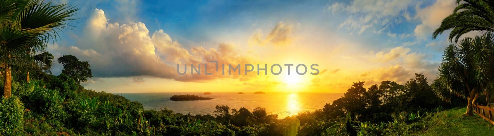 Panorama of a gorgeous colorful sunset at the sea,framed by silhouettes of the coast vegetation