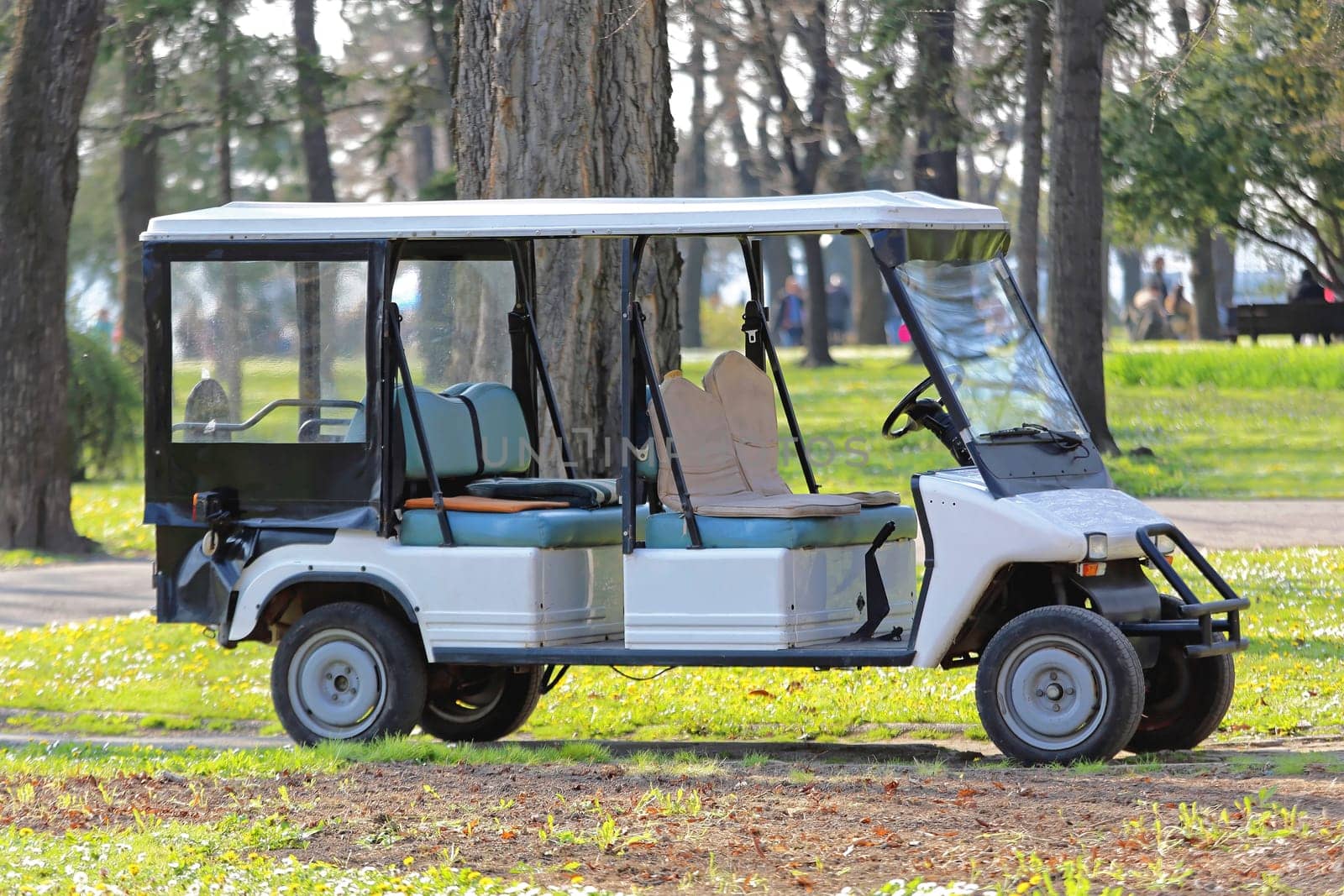 Big Electric Golf Cart in Park