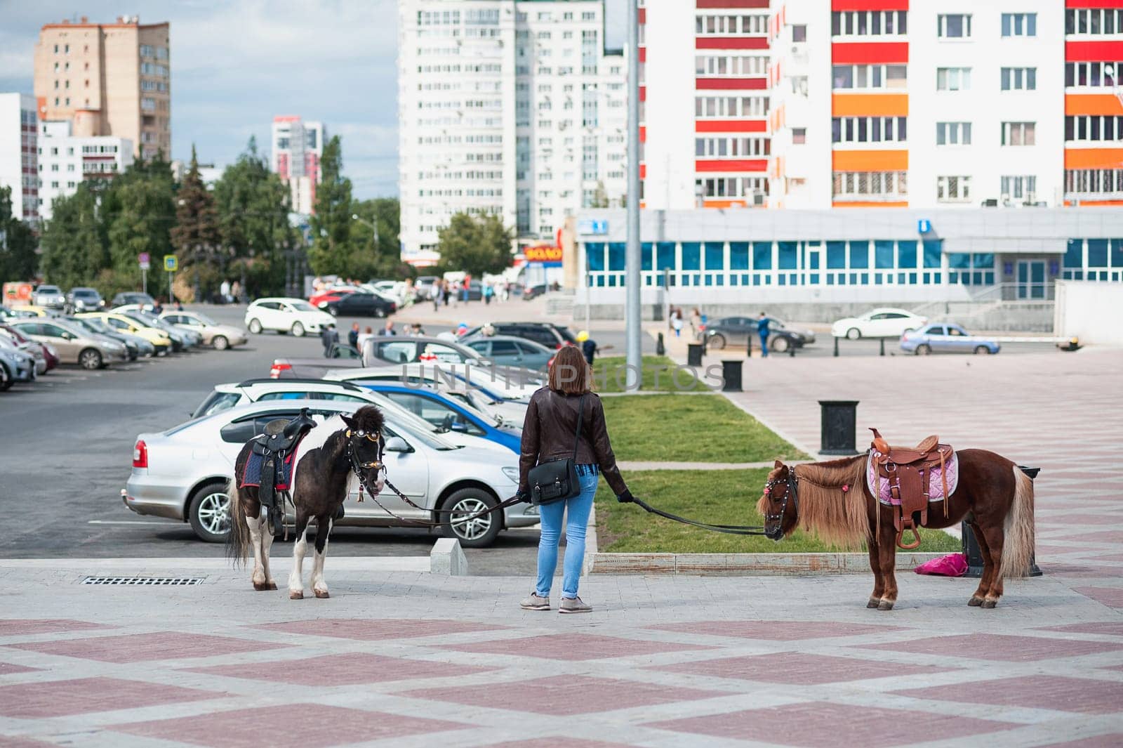 2 ponies await young riders in the park on a background of the urban landscape. Parking on the background. Shepherd, holding the bridle