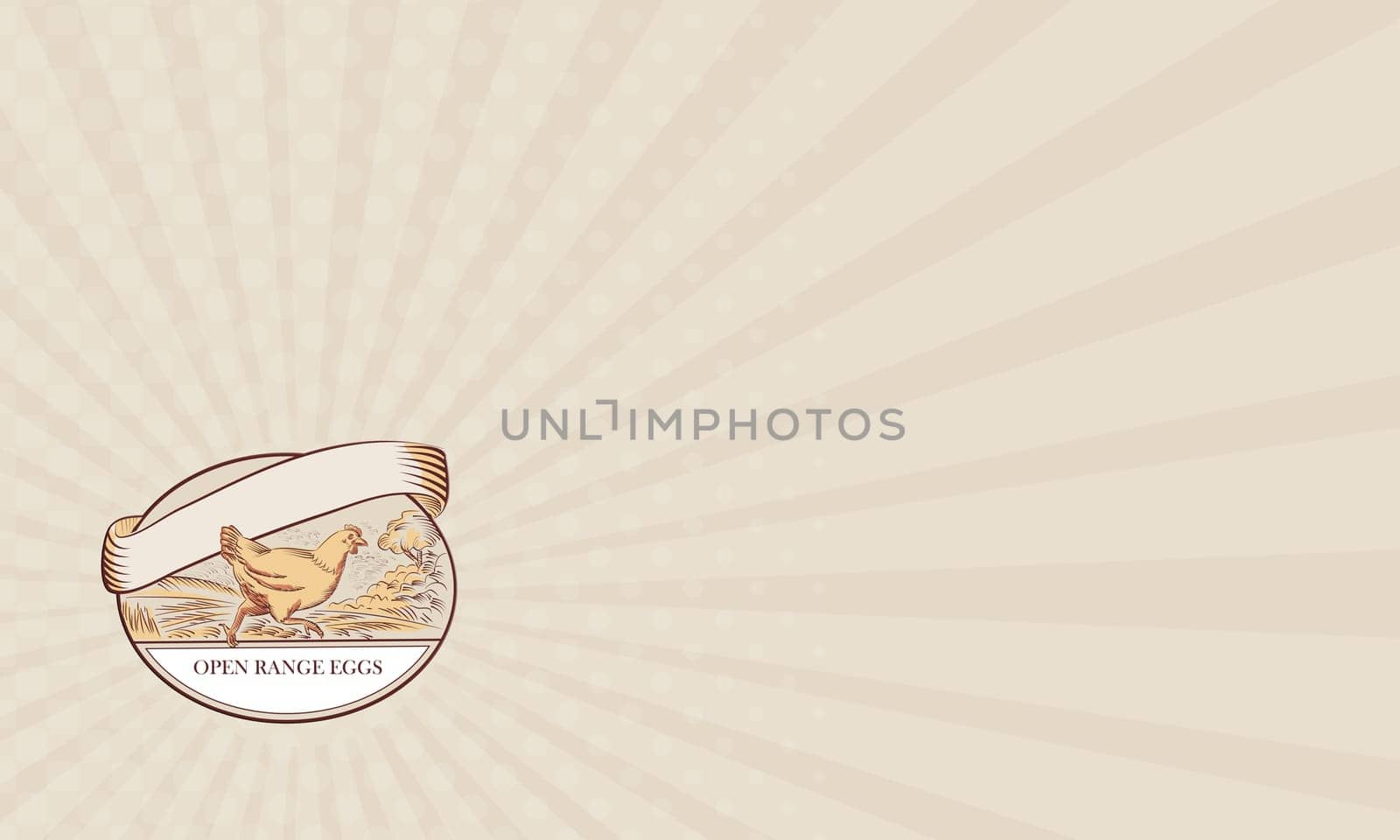 Business card showing Drawing sketch style illustration of a hen running viewed from the side with farm trees in the background and Open Range Eggs label set inside oval shape.