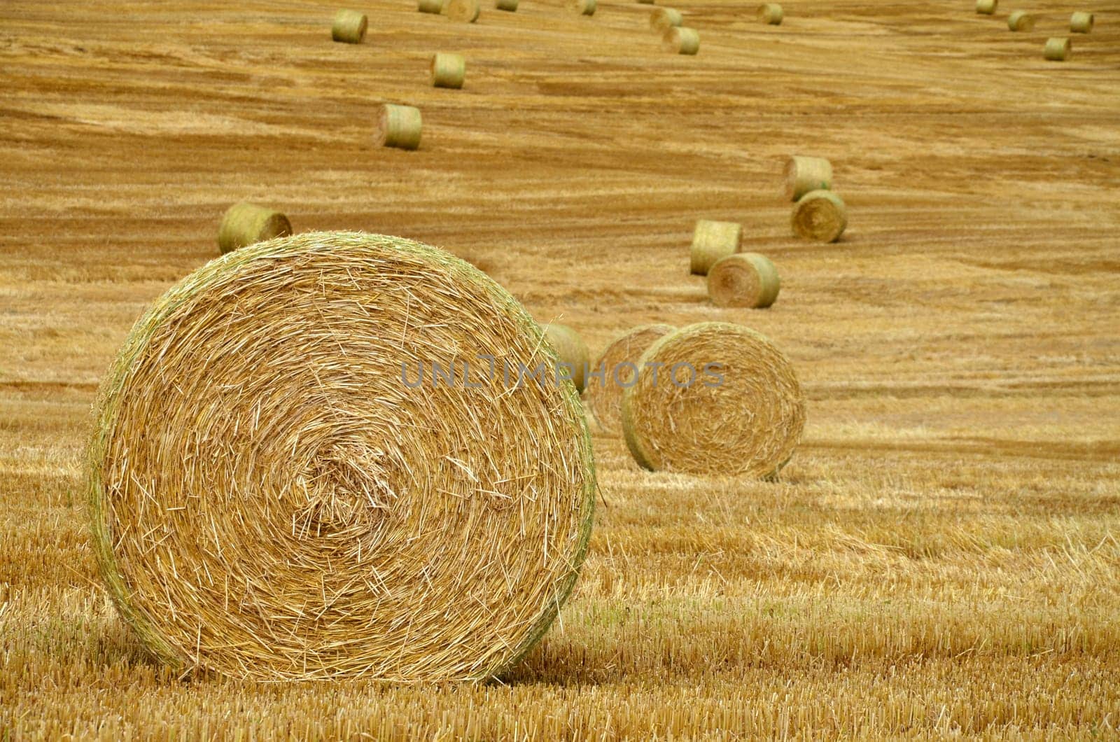 Straw bales