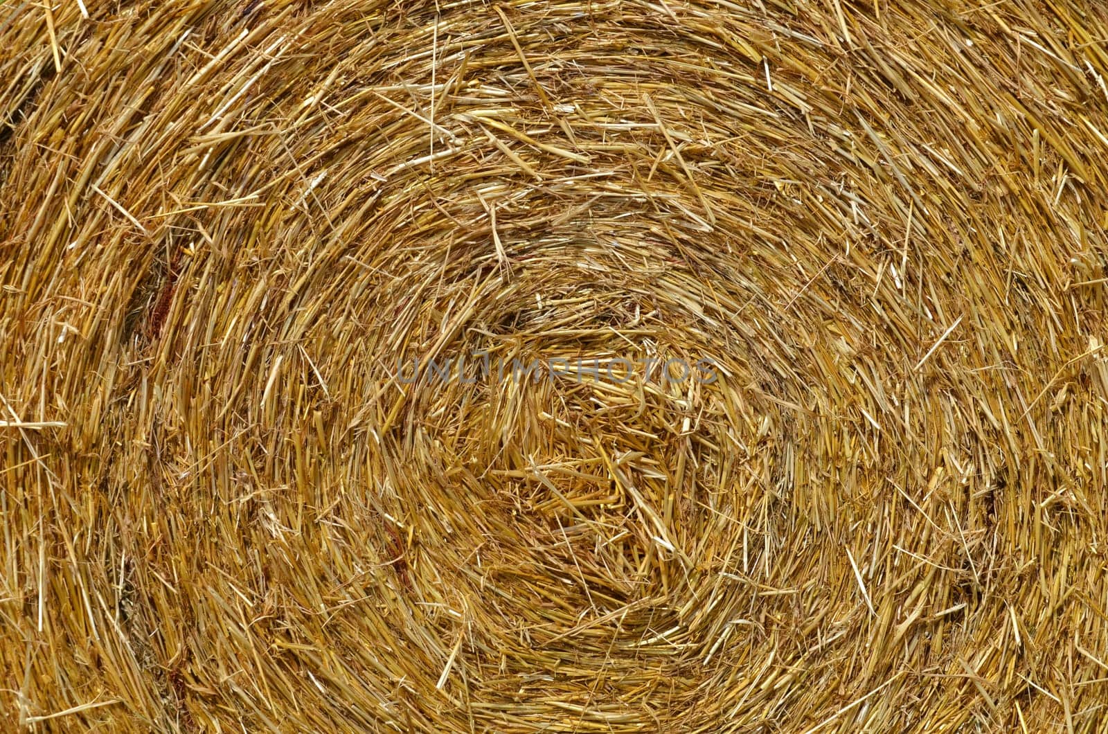 Straw bales
