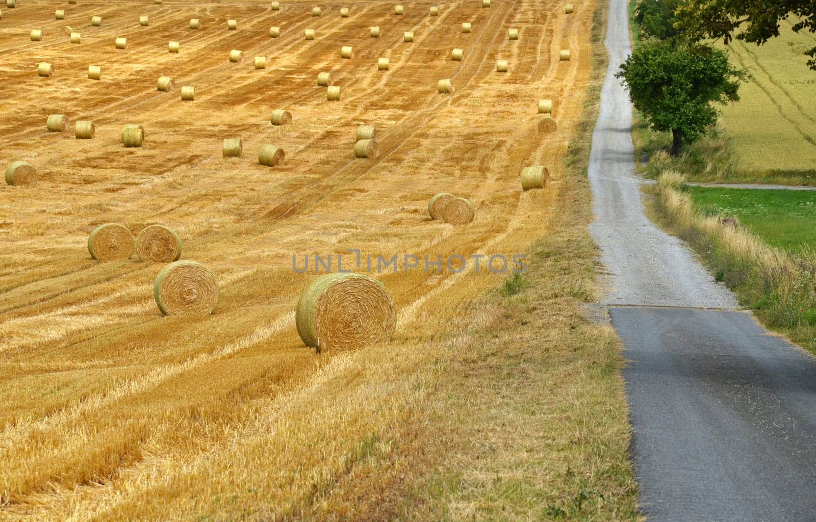 Straw bales