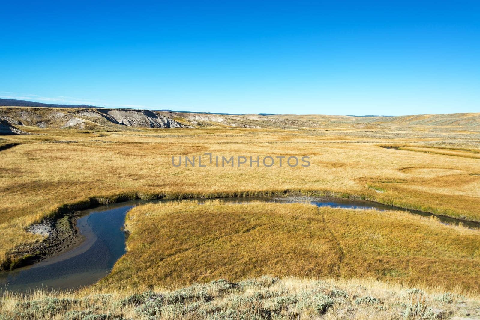 Small stream running through Yellowstone National Park
