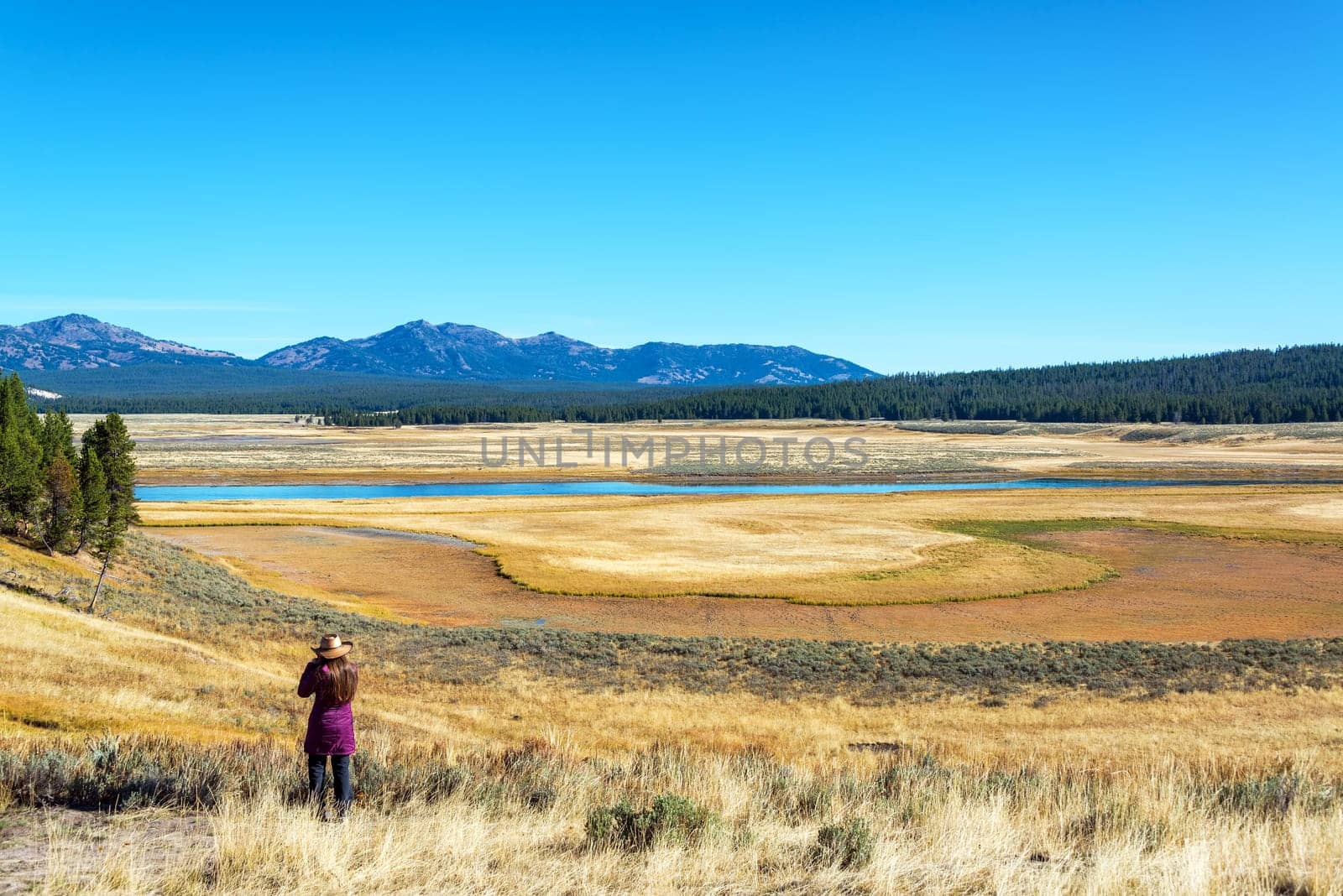 Young woman looking out over a valley in Yellowstone National Park