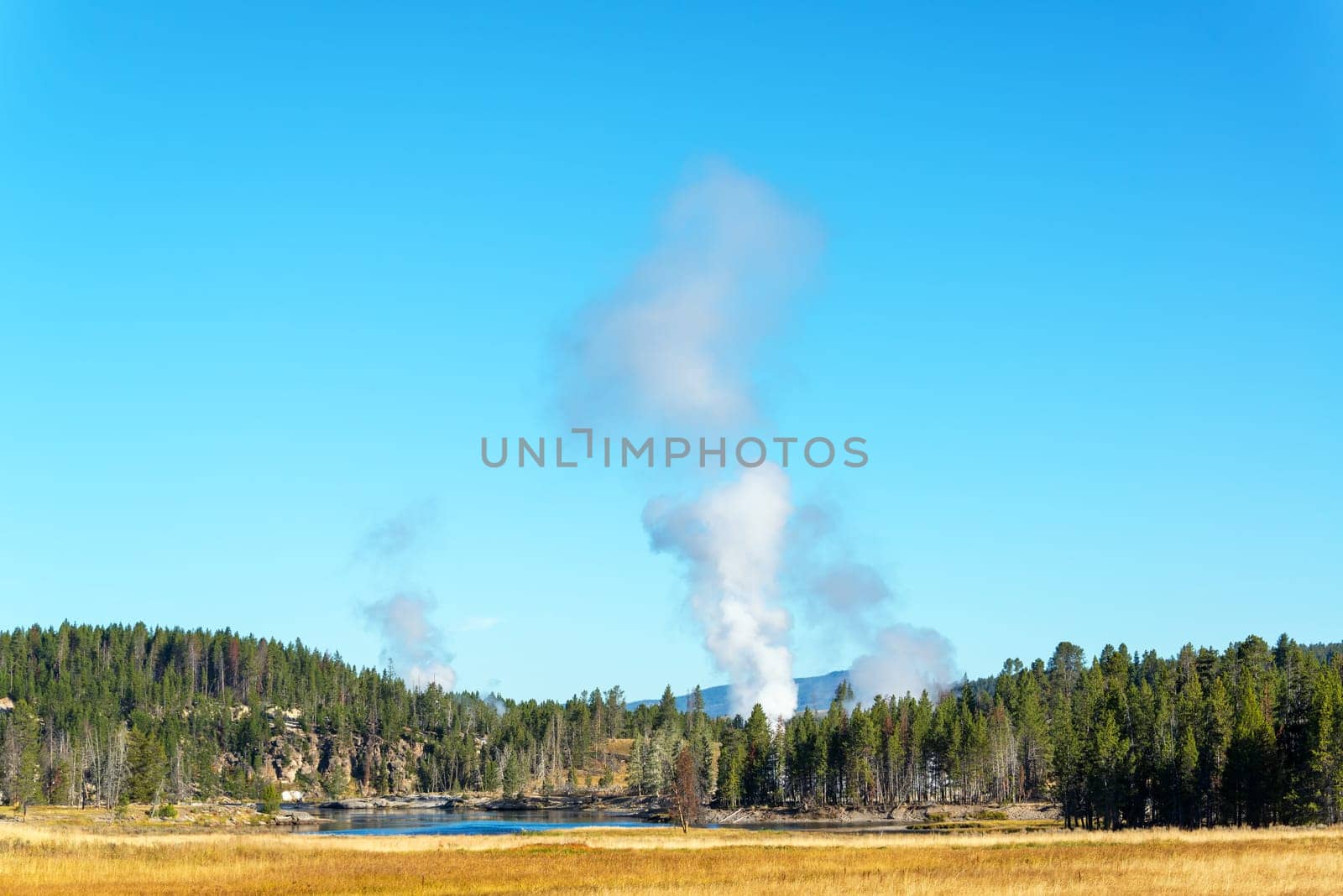 Landscape view of the Mud Volcano Area in Yellowstone National Park
