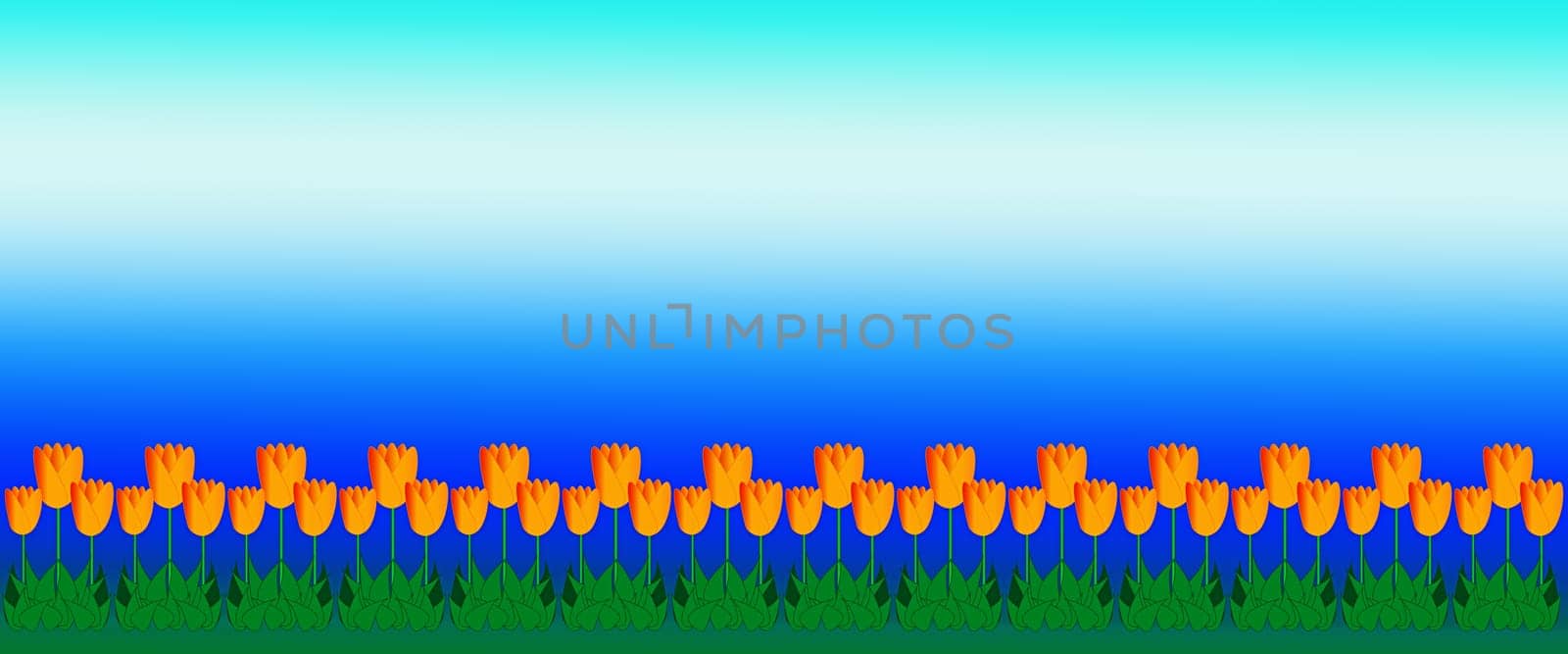 Mothers Day Summer or spring background illustration of yellow tulips on border with bright blue sky