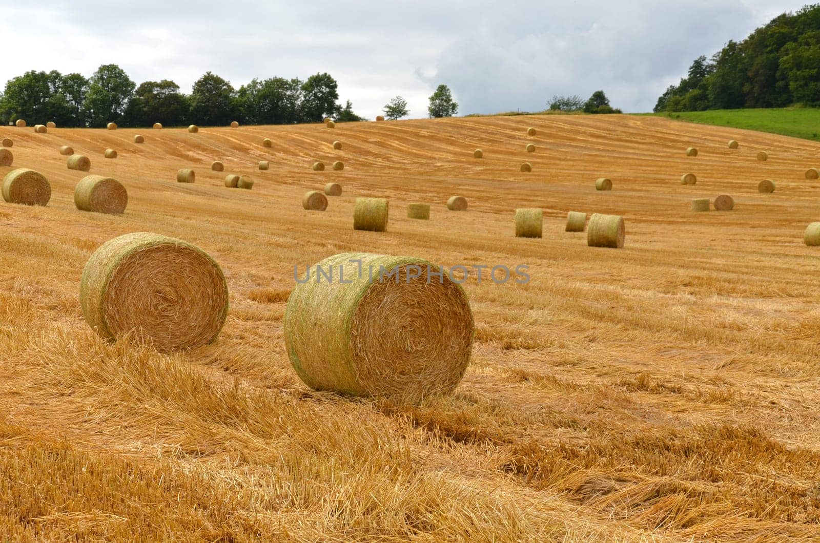 Straw bales