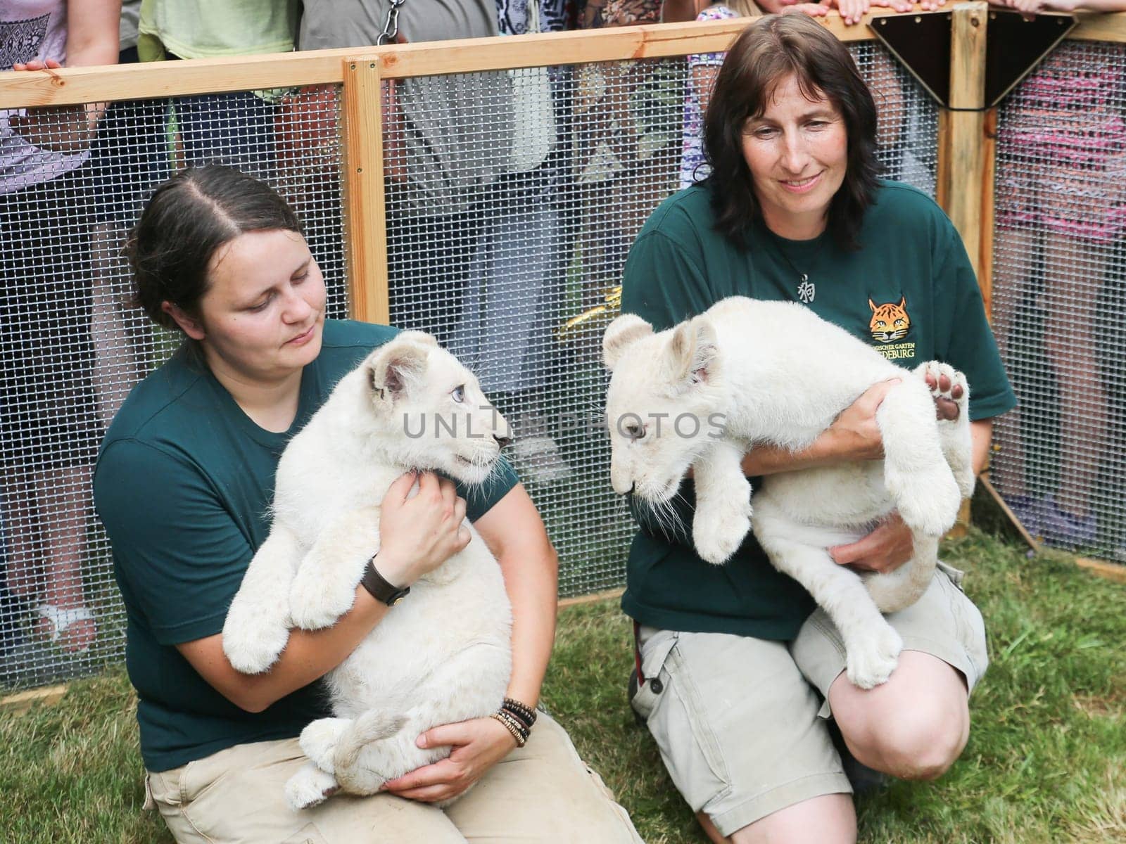 Name baptism of white lion babies in the Magdeburg Zoo on July 26,2016