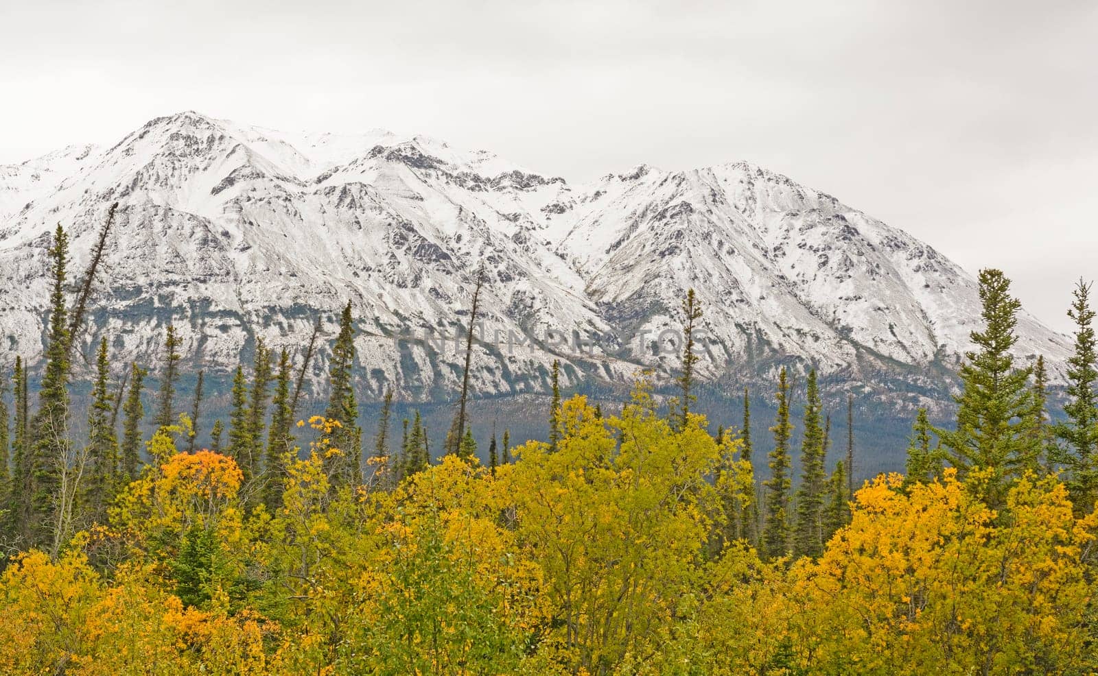 Fall Colors with Snow on the Mountains along the Alaska Highway in the Yukon Territory of Canada