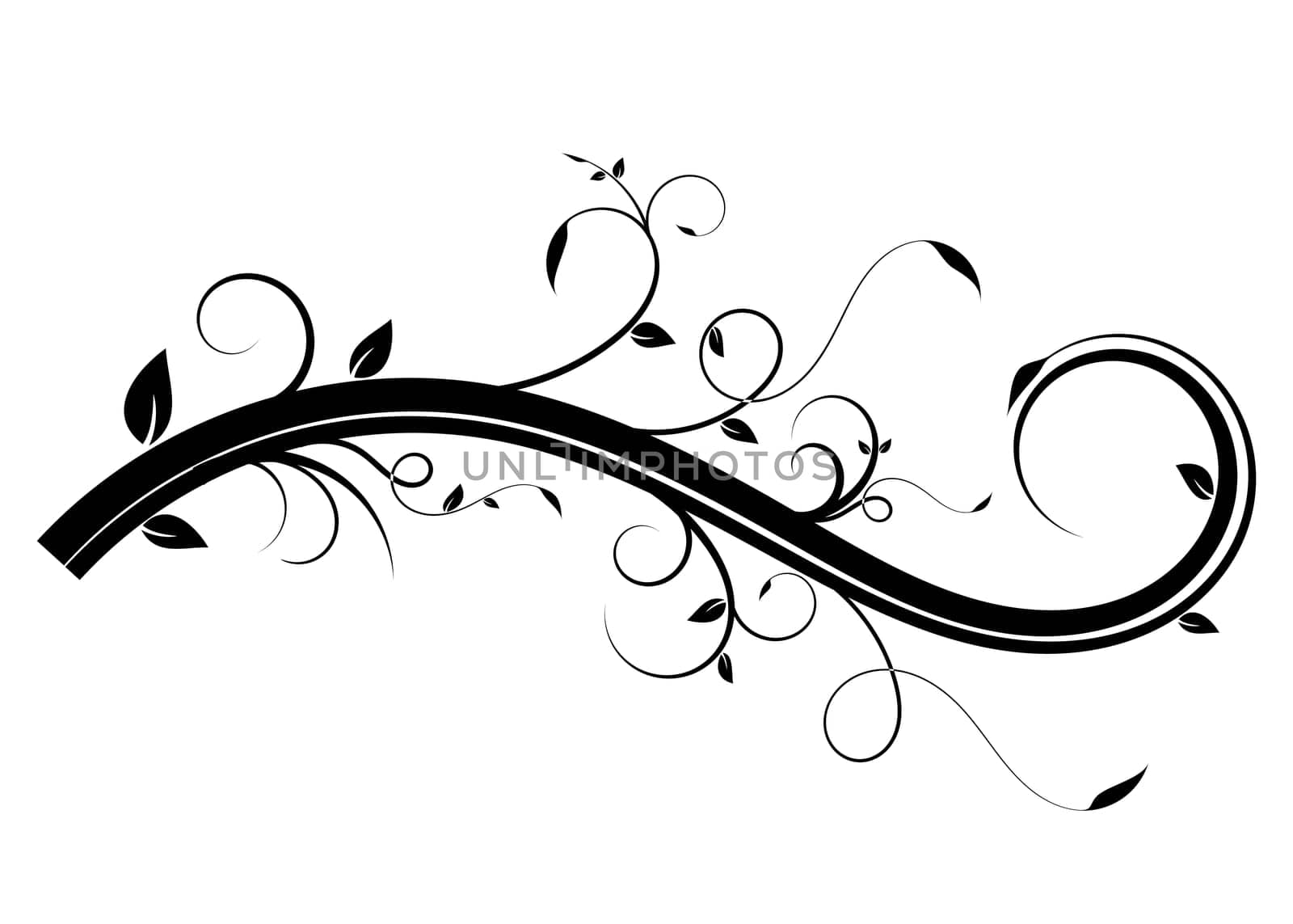 Illustration of floral ornament for design