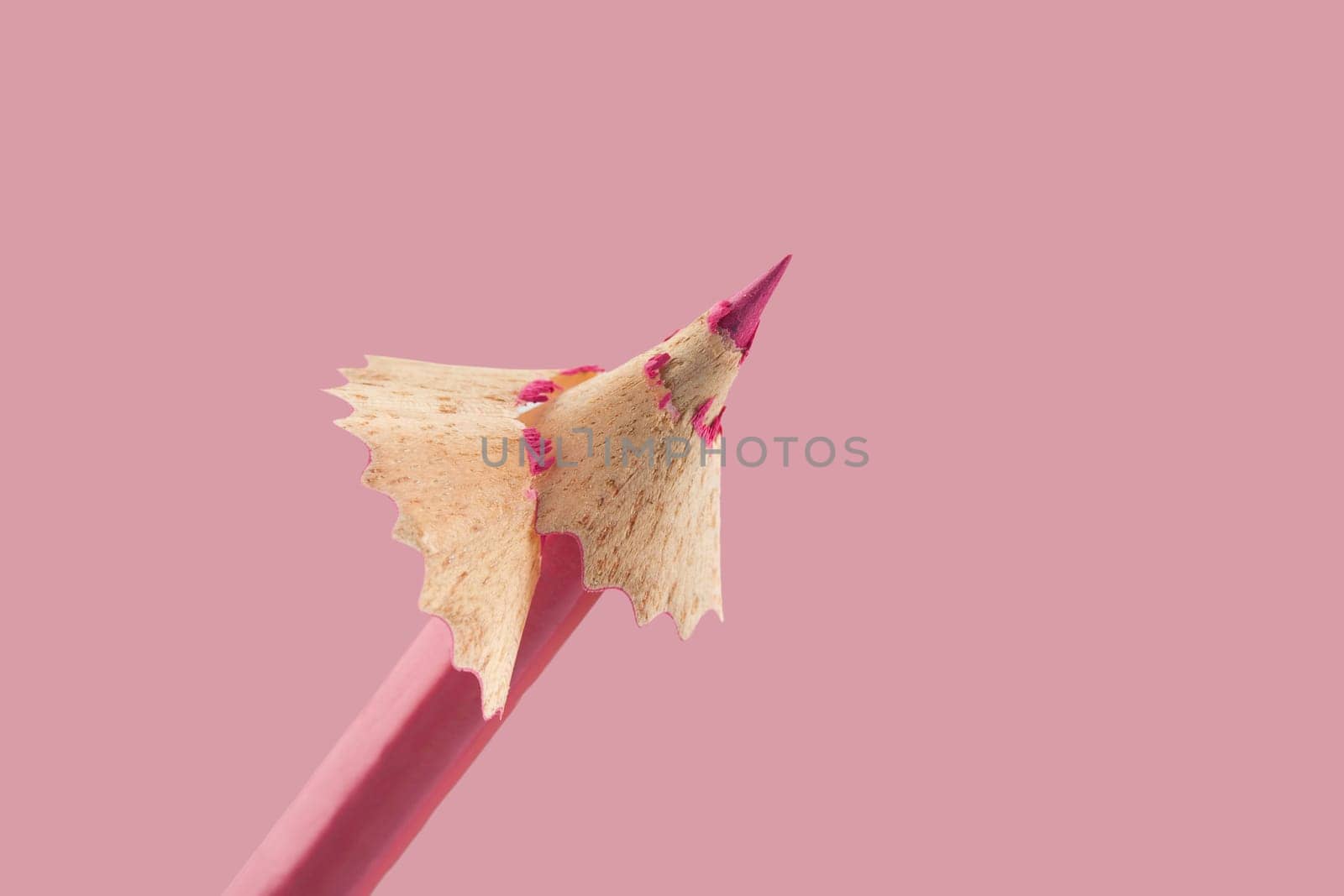 Front view of pink pencil with wooden shaving on top