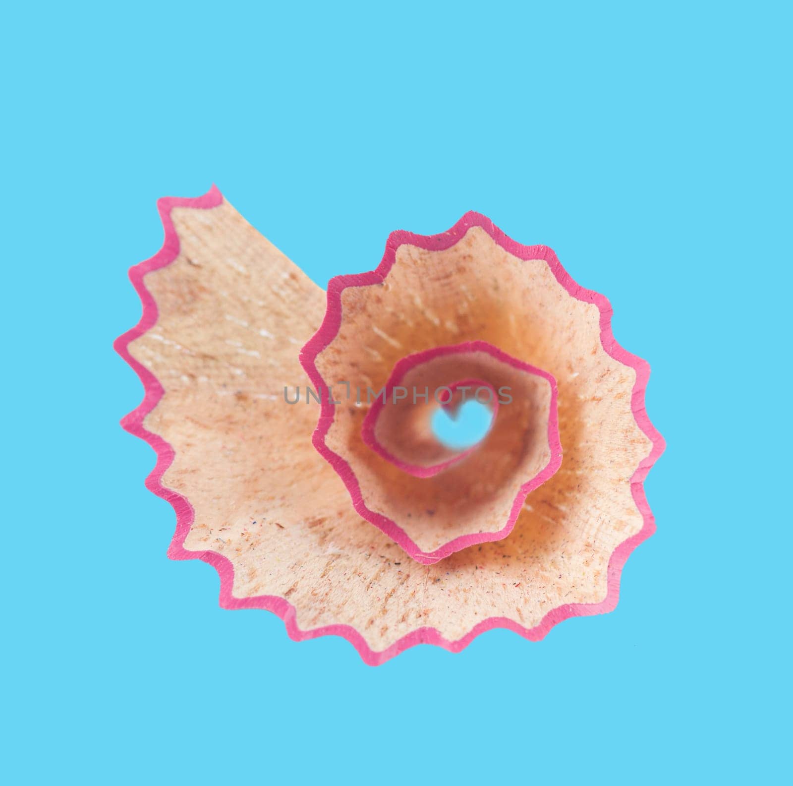 Pink pencil shaving with spiral shape isolated with shallow depth of field