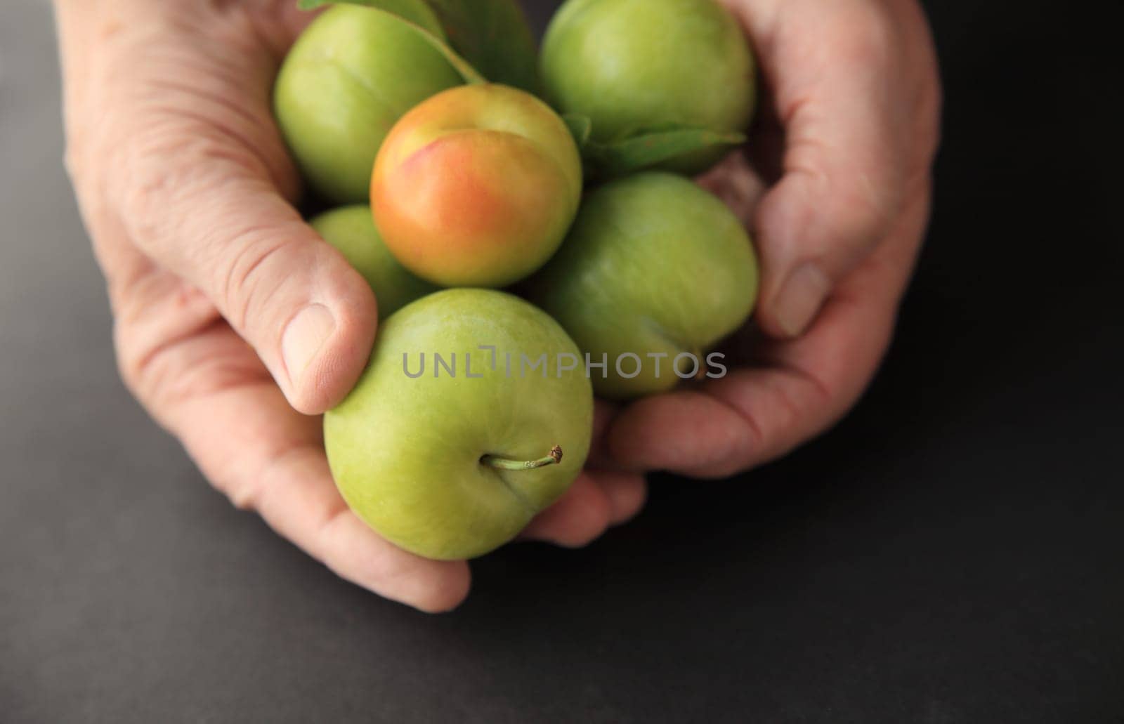 A man holds several fresh plums on a black background.