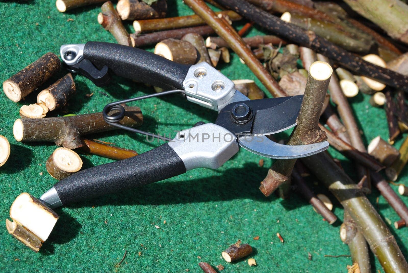 House and garden Gardening Pruner Scissors Branches Branches Branches Branch Branch Tree Secateurs Garden Tools Gardening Garden Care Garden Hobby
