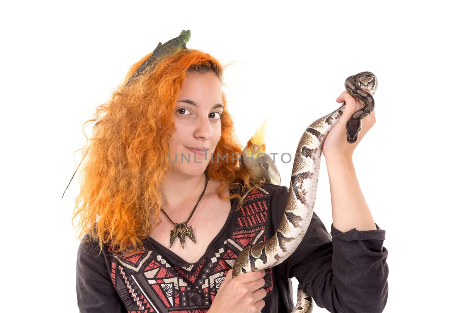 Red hair girl with several pet animals isolated in white