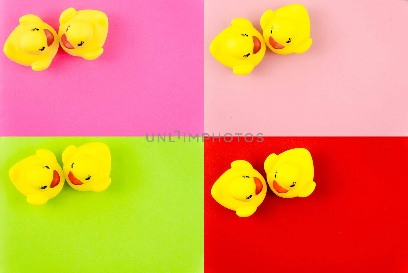 Photo Collage of Pair of yellow rubber ducks isolated over colorful background, love concept