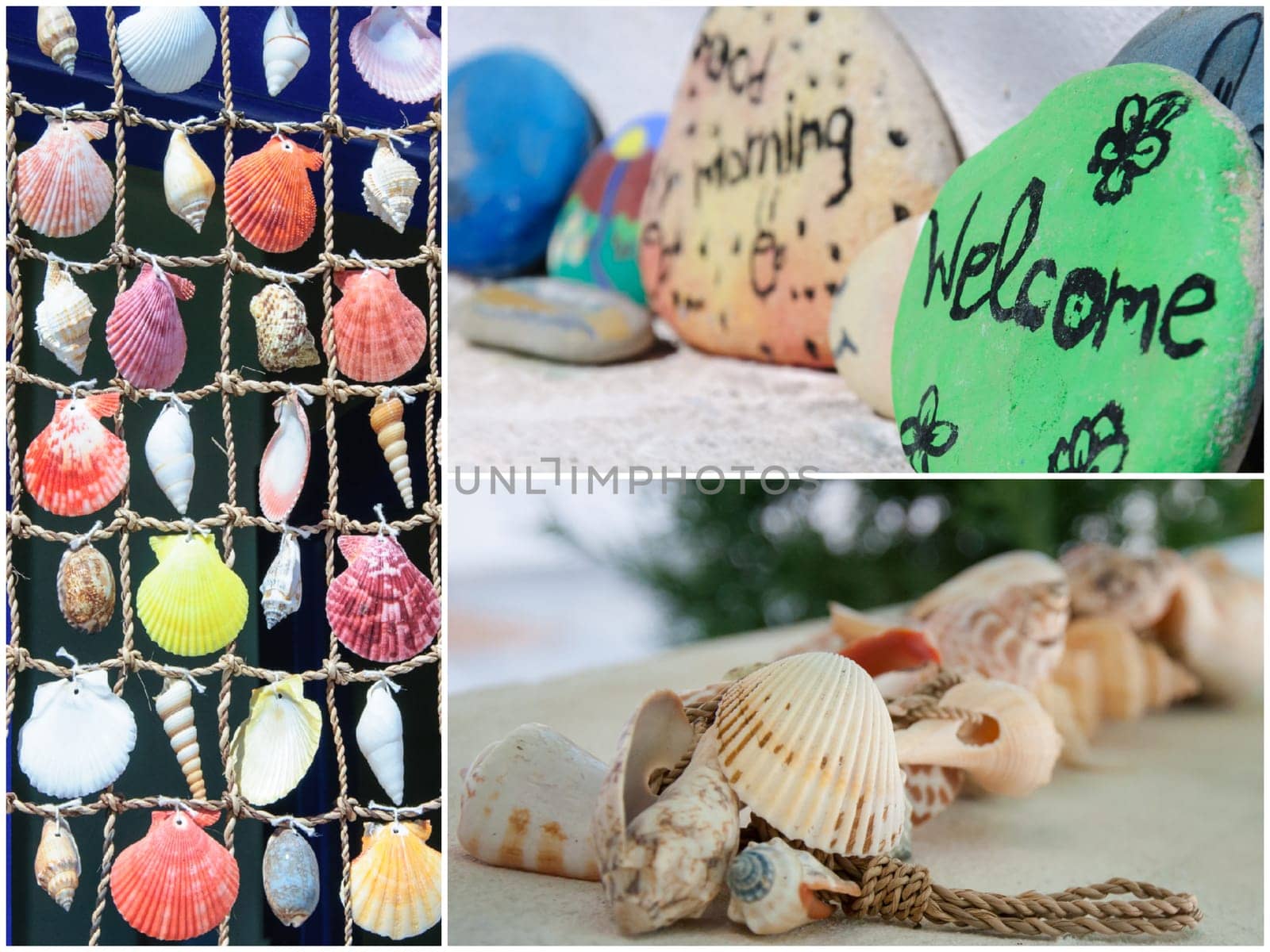 Photo collage of colorful shells background