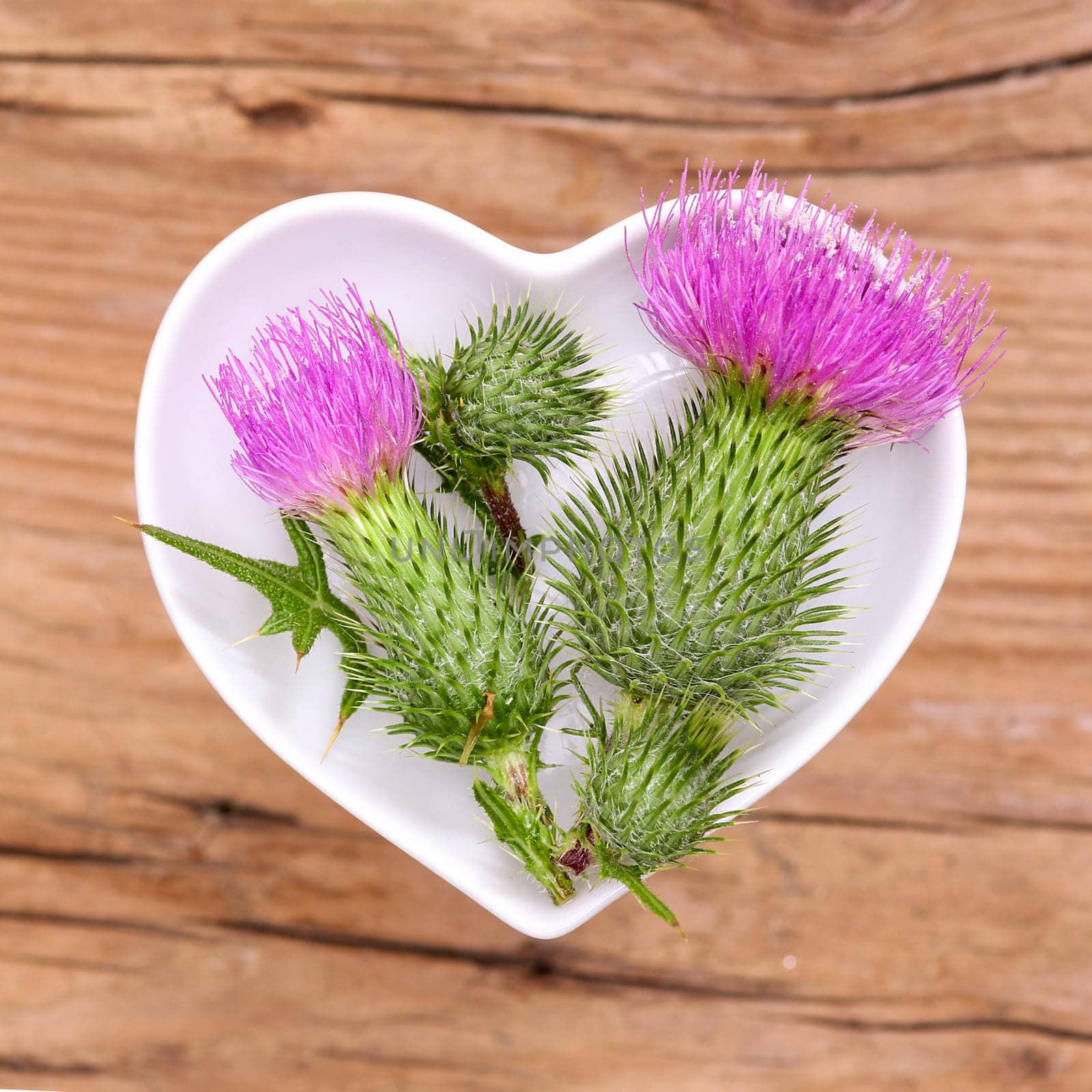 Homeopathy and cooking with medicinal herbs,thistle