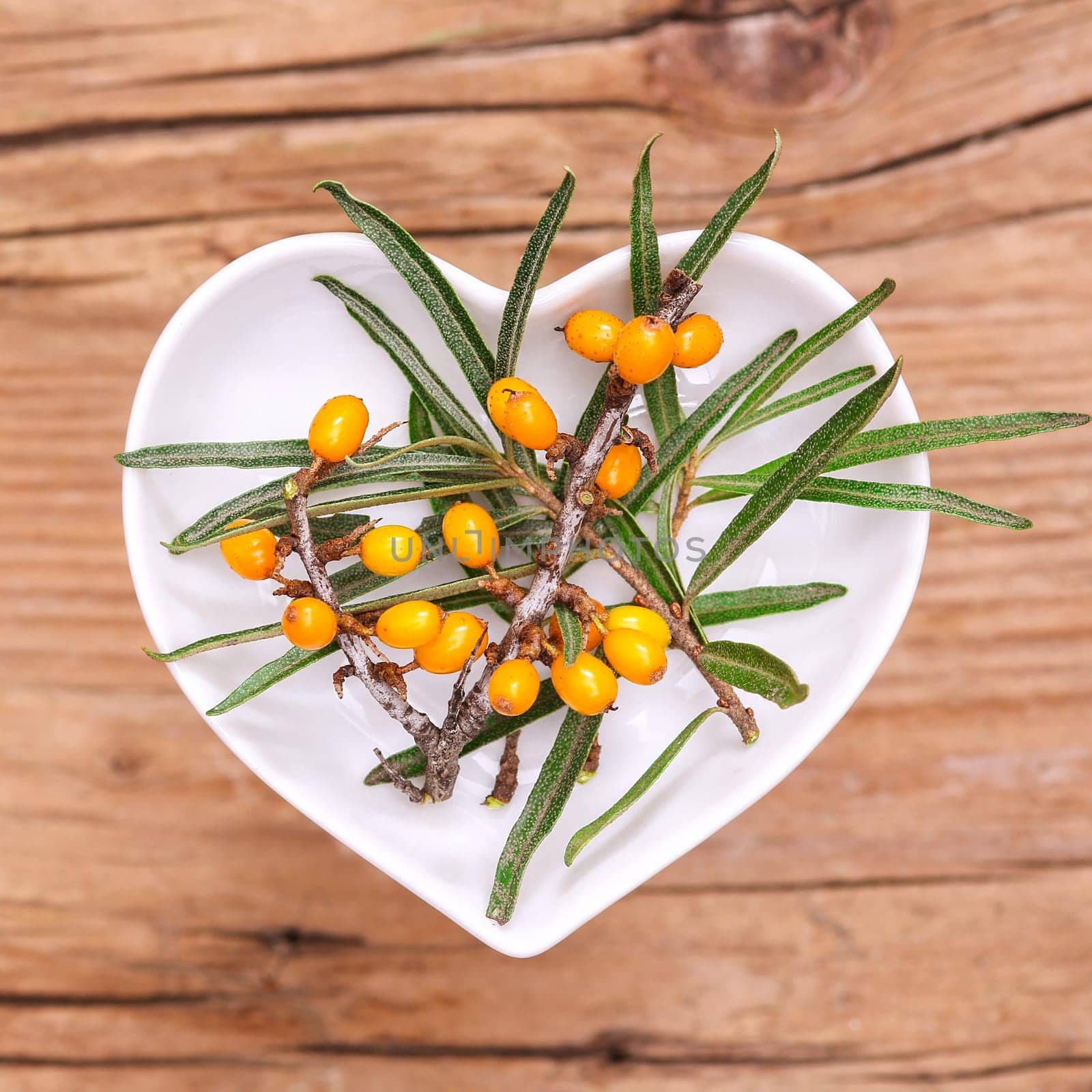 Homeopathy and cooking with medicinal herbs,sea buckthorn