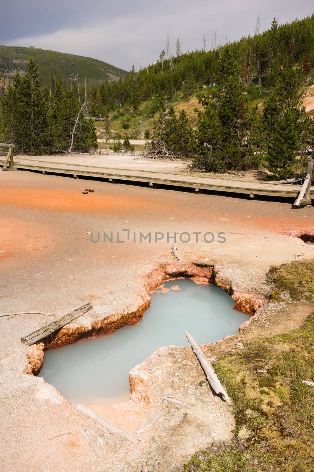 Hot Springs bubble up in the Artist Paint Pots area of Yellowstone