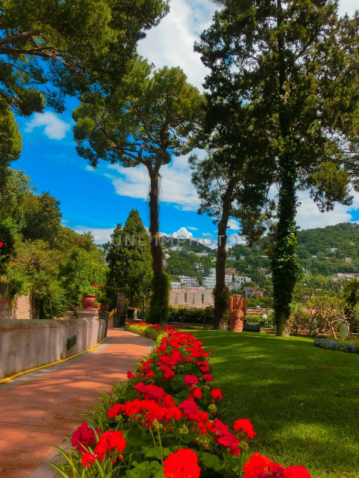 Bautiful public garden in Capri island, Italy