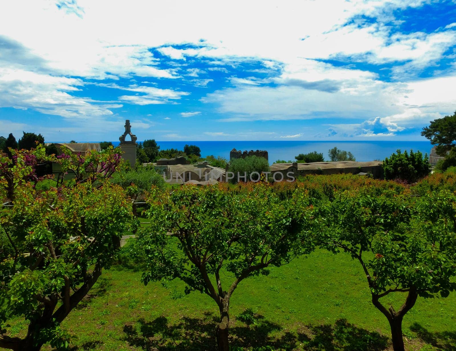 Bautiful public garden in Capri island, Italy