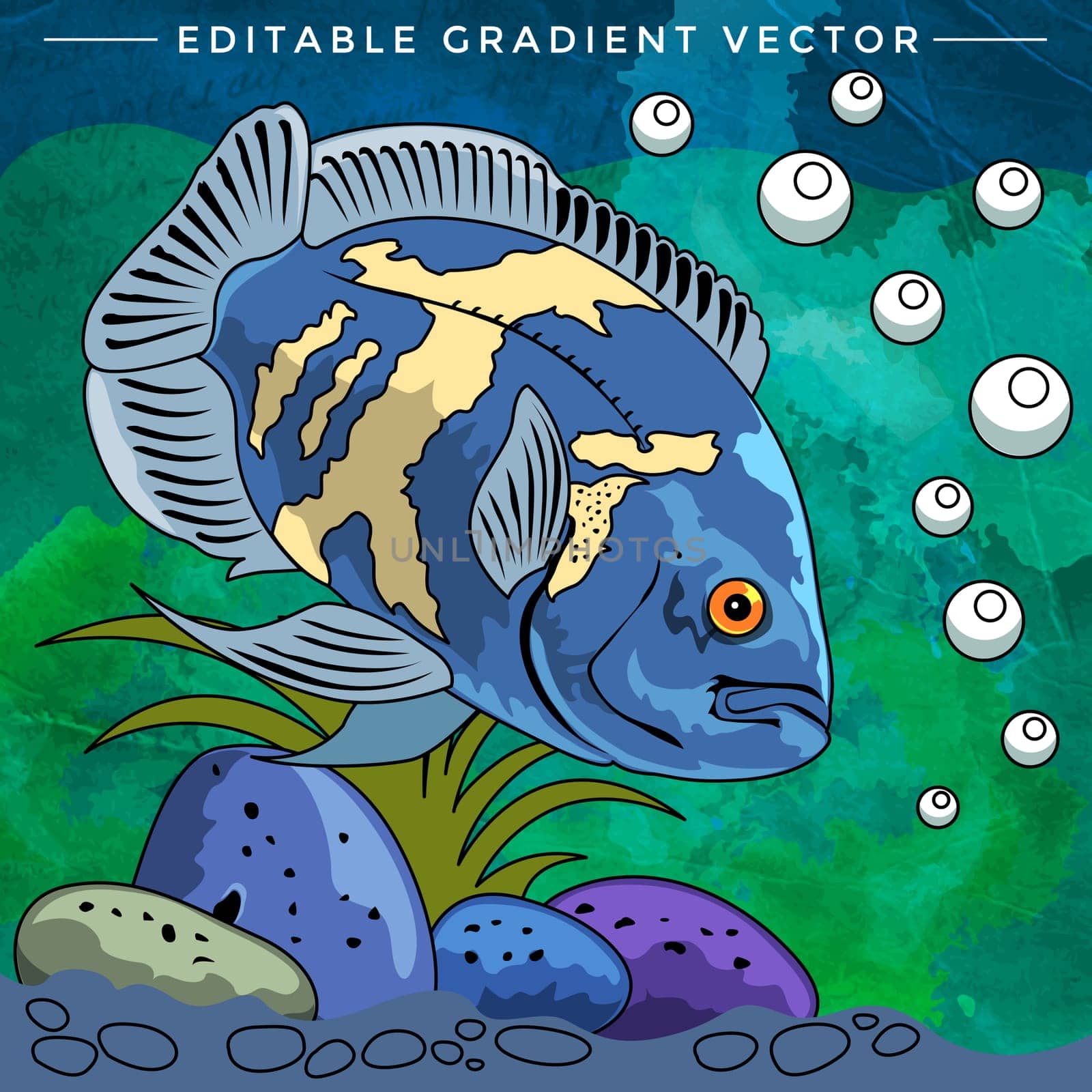 Fish in aquarium. Bright colorful vector illustration.