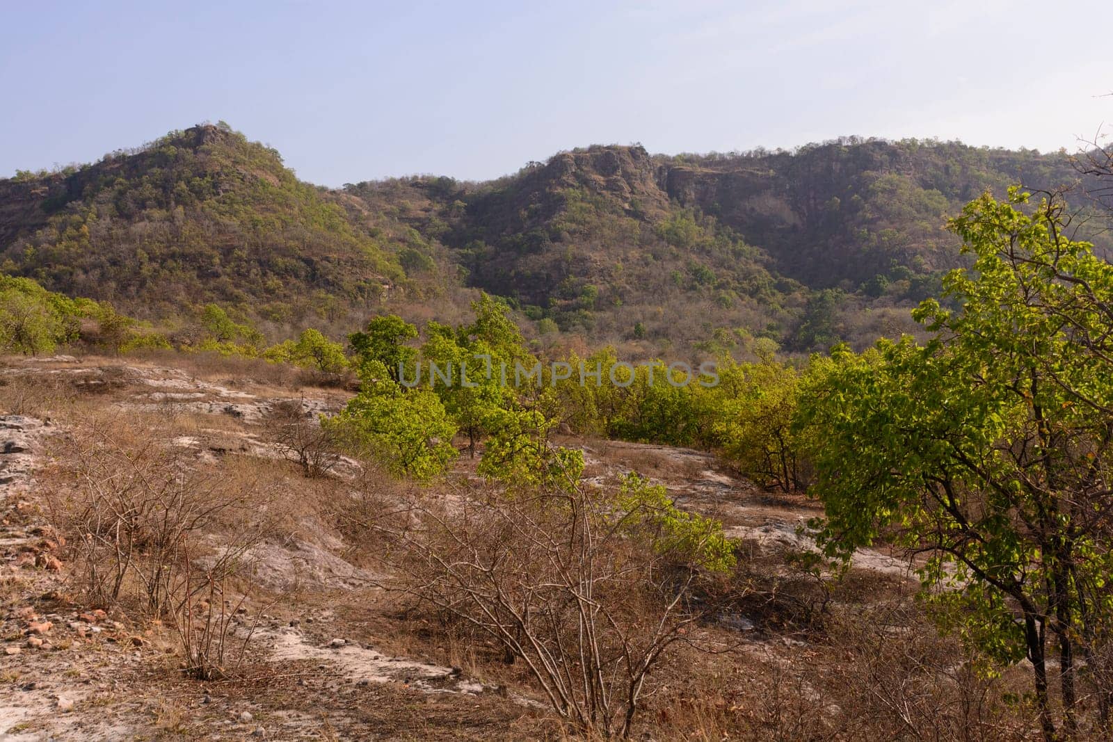 Cliffs in the Indian Wilderness of Bandhavgarh National Park in India
