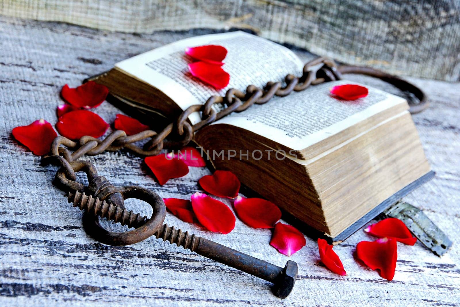 A captivating old romance novel from 1763. An antique book with rose petals and chain