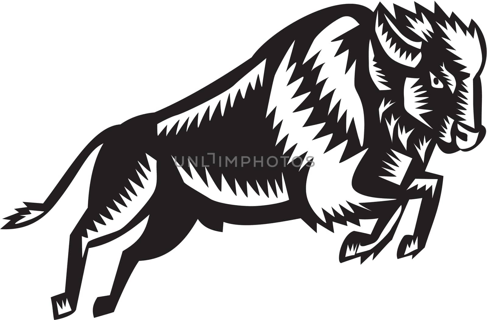 Illustration of an American bison or buffalo jumping viewed from the side set on isolated white background done in retro woodcut style.