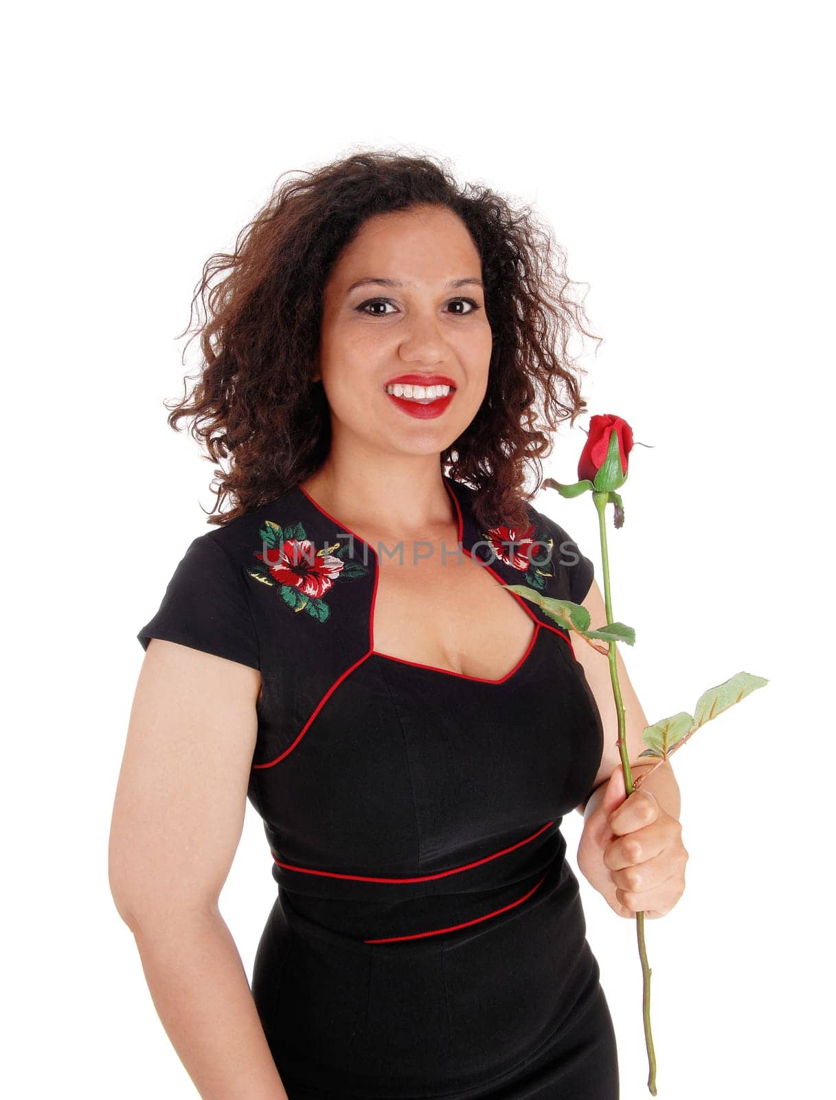 A pretty woman in a black dress holding a single red rose, isolated.for white background..
