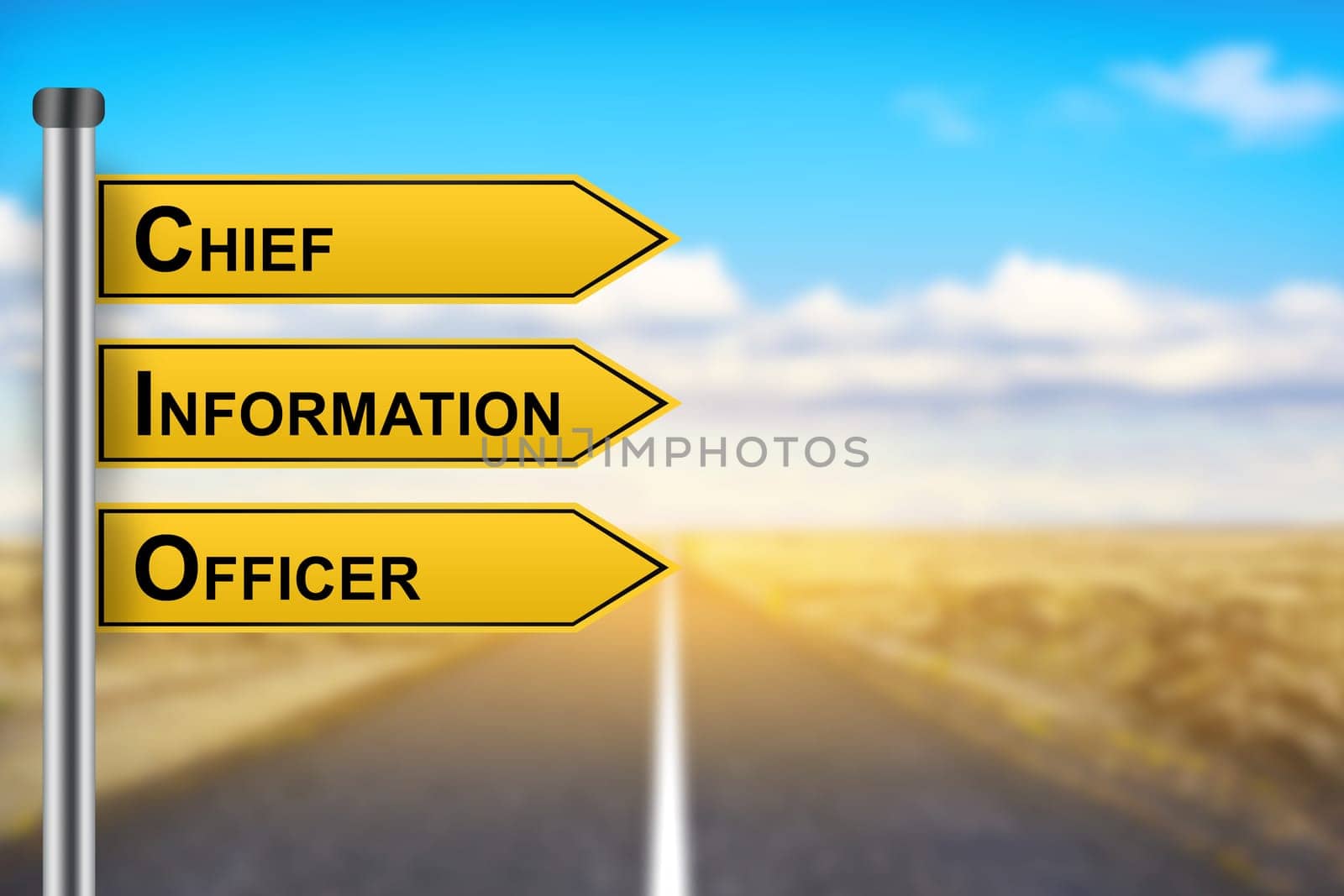 CIO or Chief information officer words on yellow road sign with blurred background