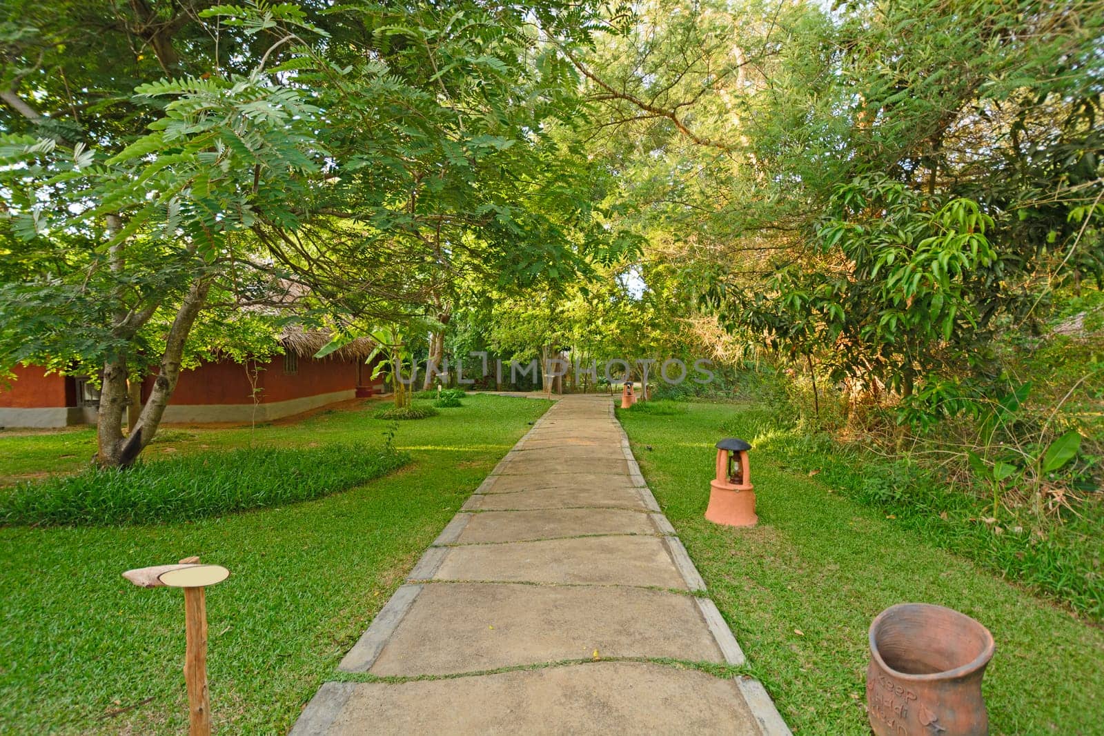 Luxury Resort in the Jungle near Nagarhole National Park in India