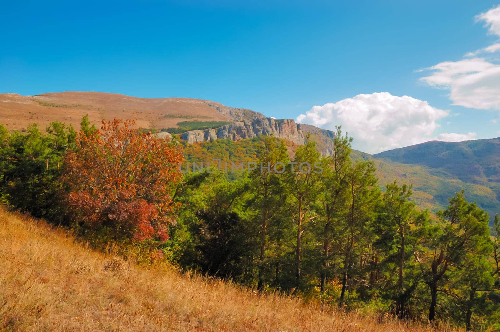Crimean mountains. Mountains in Crimea at the sunny summer day.