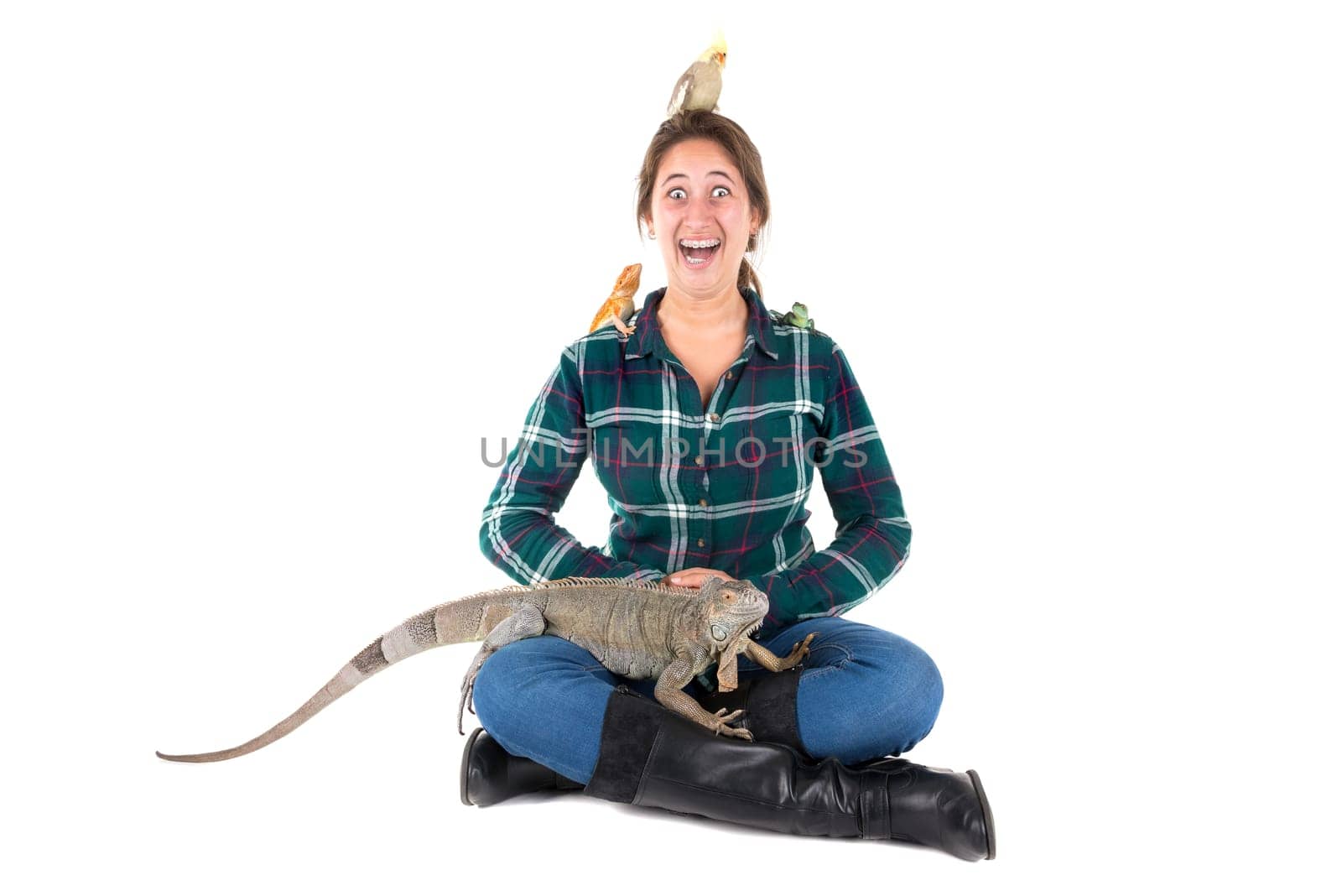 Girl with several pet animals isolated in white