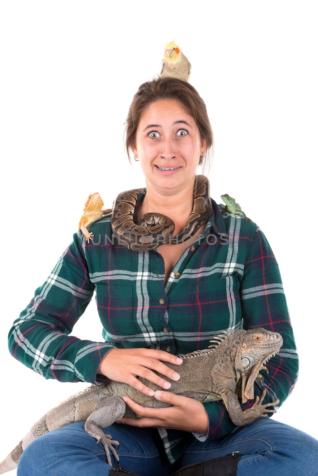 Girl with several pet animals isolated in white