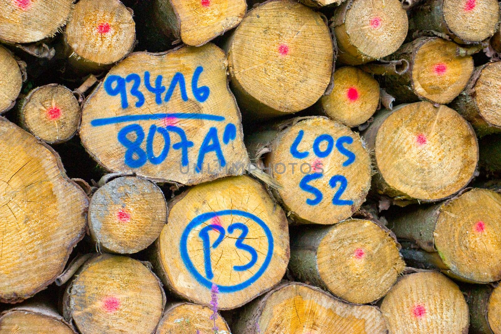 Stacked firewood marked after raffle