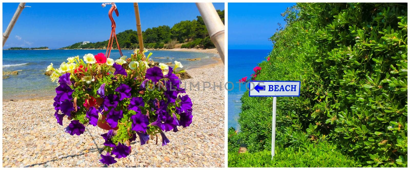 Sunny sand beach with beautiful flowers and pointer to the beach