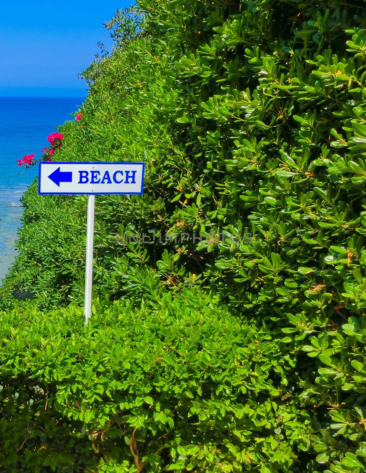 Sunny sand beach with beautiful flowers and pointer to the beach