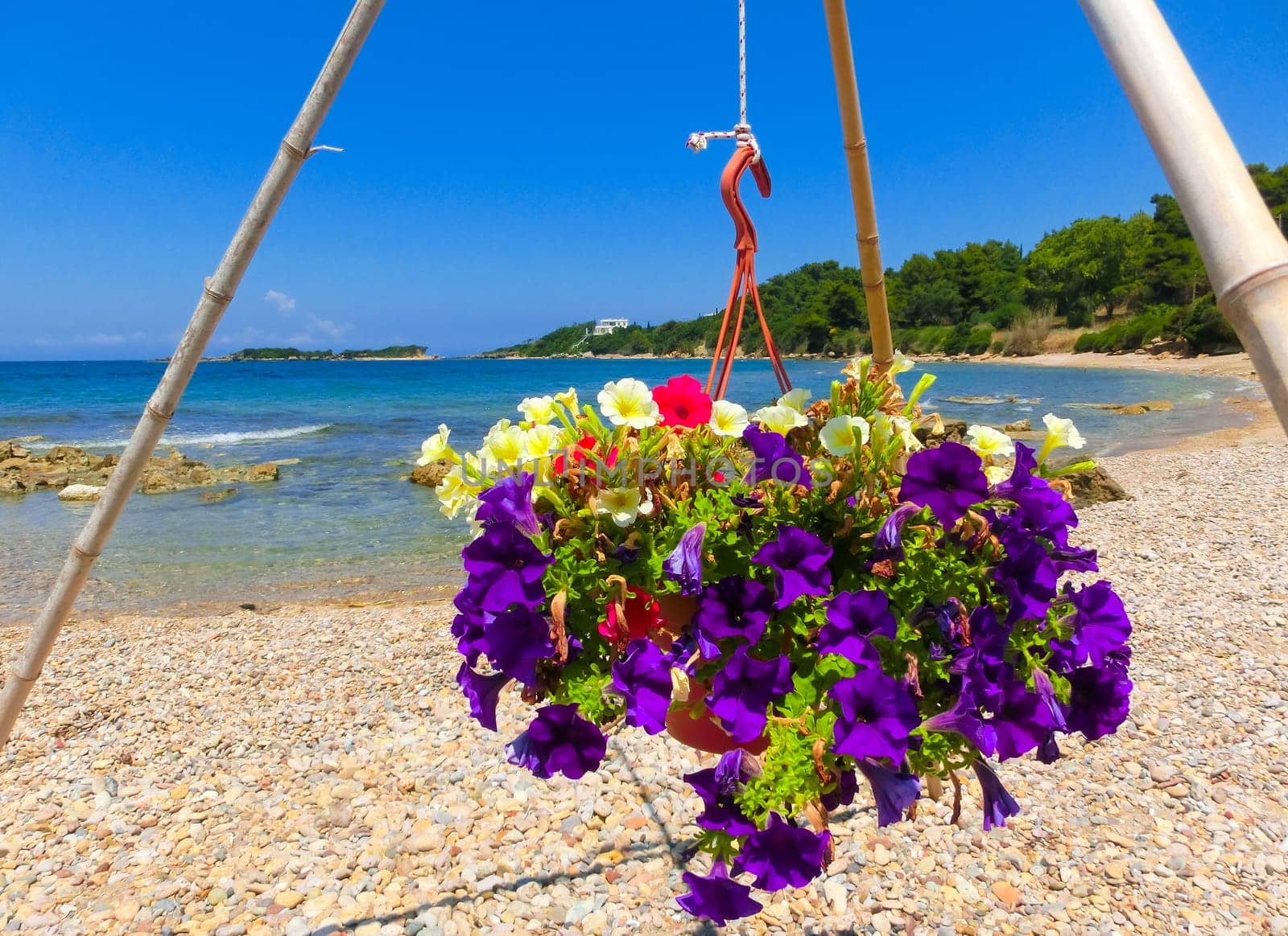 Sunny sand beach with beautiful flowers in Greece