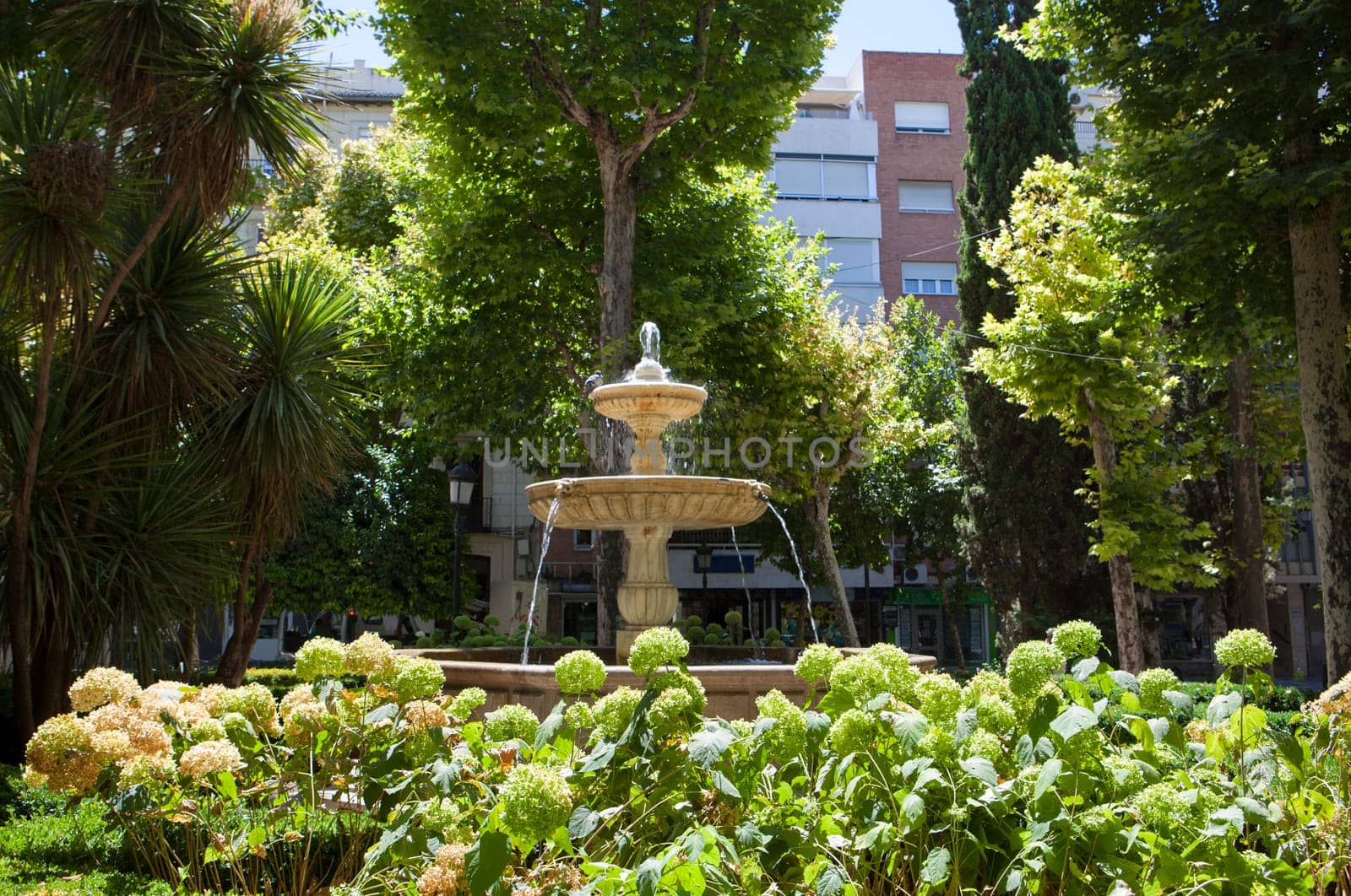 City center park with fountain in the middle of the green background